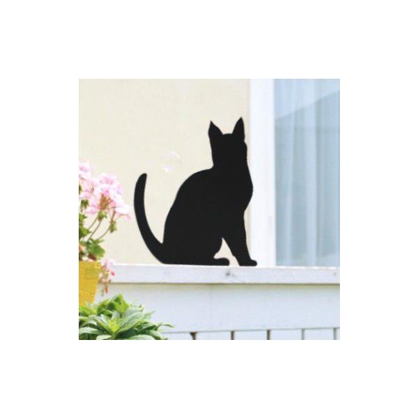 EFJAj} ANIMAL-01u܂lRv