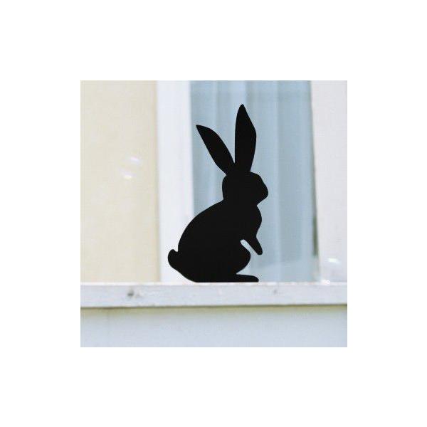 EFJAj} ANIMAL-07uETMv