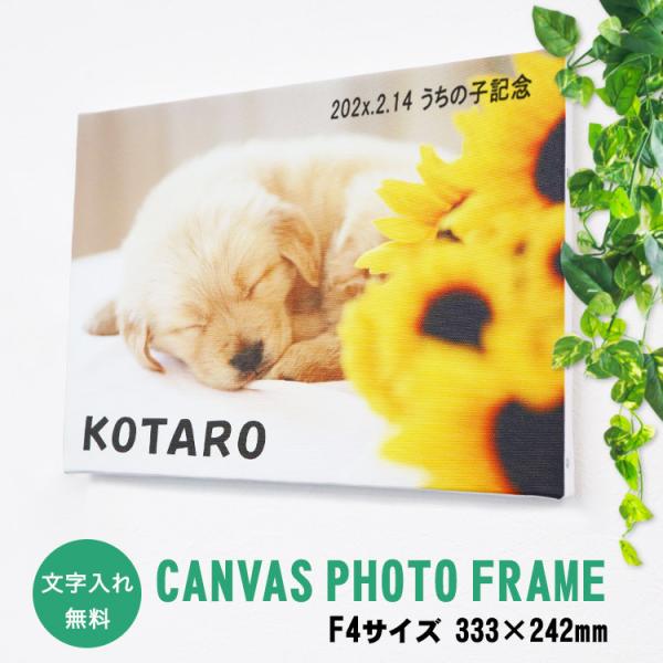 yLoXtHgt[ F4TCYi333×242jzbZ[W  LoX tHg ʐ^ CXg UV  EFJ{[h