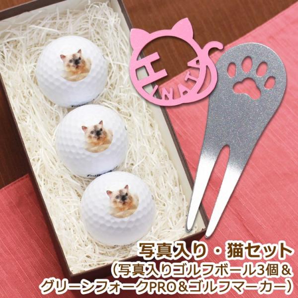 LZbg St{[ ʐ^ RXeX O[tH[NuPROEfUCv 1 XeX؂蕶St}[J[ ujv 1