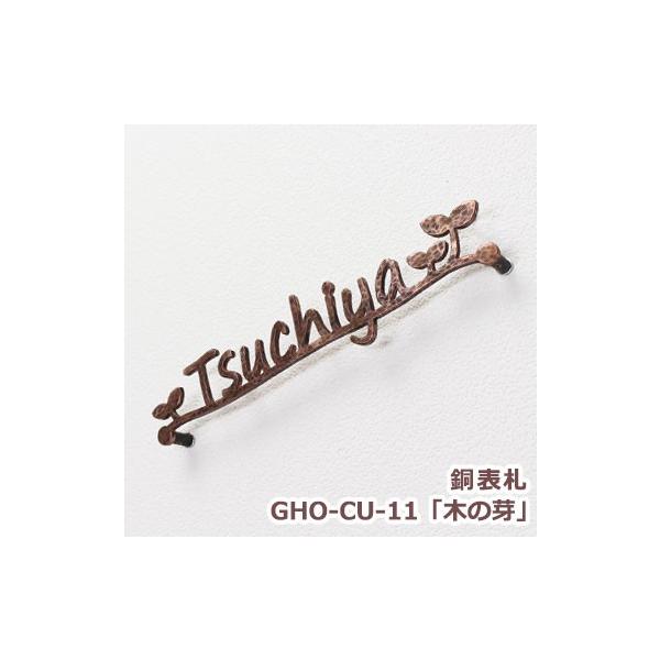 \D  ˌ  \D GHO-CU-11u؂̉v [} ACA