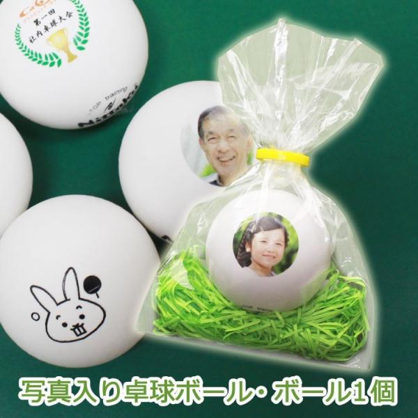 싅{[ ʐ^ 1 jb^N yWpgbvN[g JX^[N[z s| LOi ii  蕨 Mtg v[g S 