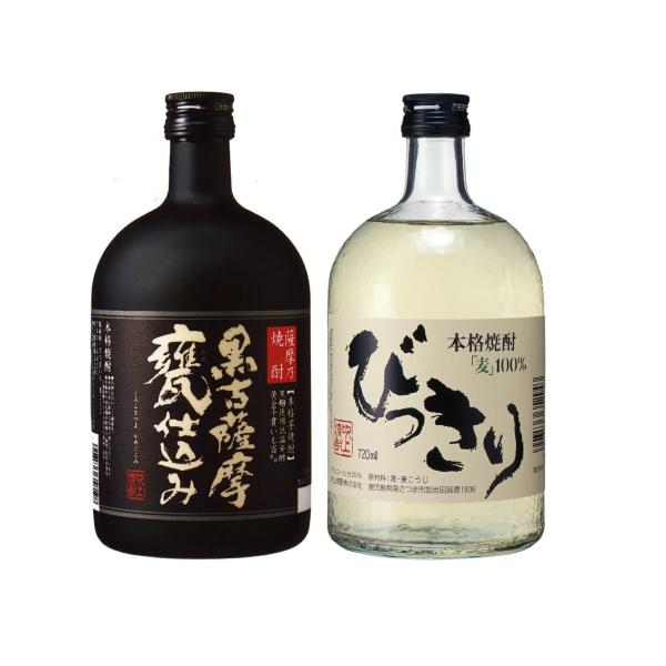 Special 焼酎 720ml 2本 Special 焼酎 720ml 2本 名入れ ギフト SXX 酒セット 切子 麦焼酎