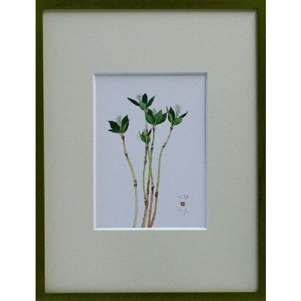 水彩画 一人静 ひとりしずか Fh 006 外山康雄 野の花館 通販 Yahoo ショッピング