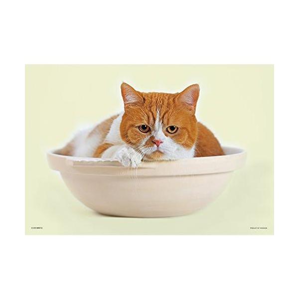 108�s�[�X �W�O�\�[�p�Y�� �ӂĔL �t�n �L�Ȃ�? ���[�W�s�[�X 26x38cm �p�Տ��i ���i�摜