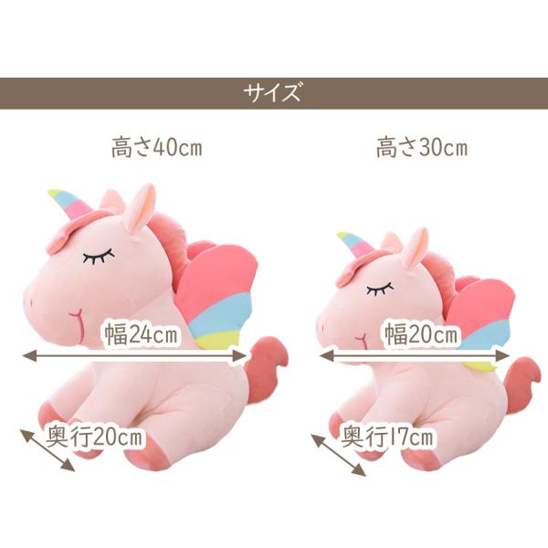 nopnop_sho-flashunico_2