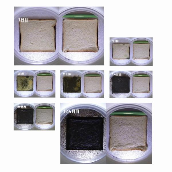 norauto_534242-2420-2_5_d_20240719154318