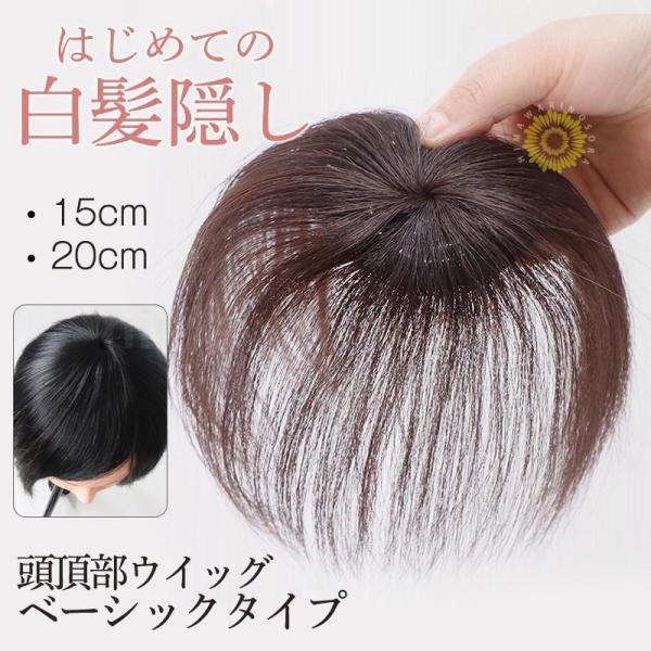 商品詳細:カラー:/ブラウン/ブラックサイズ:/15cm/20cm【商品説明】◆あっという間にトップをふわふわっとボリュームアップして自然に若々しく変身できちゃいます♪◆はじめてウィッグを使う方でも安心です。　クリップを開いてぱちんと止める...