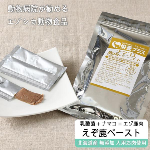 鹿肉ペースト10g×10本 【徳用5％OFF】5袋セット (鹿肉×ナマコ×乳酸菌)  【ネコポス送料無料】【犬用 ドッグフード 療法食、療養食 病院食 国産無添加】