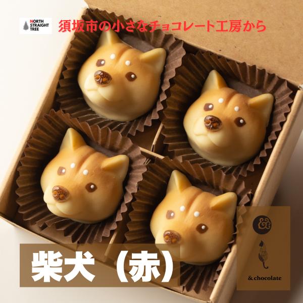 チョコ 犬 動物 2025 柴犬（赤） ホワイトデー お歳暮,お中元 