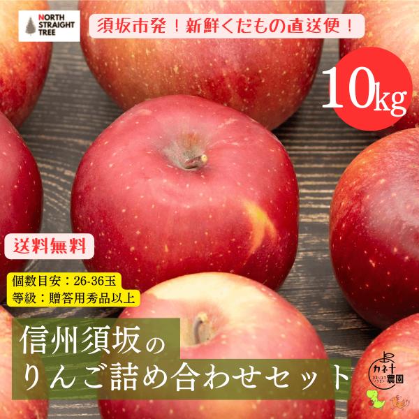 [Release date: September 30, 2025]等級は秀品以上の贈答用！須坂市産の美味しいりんごをもぎたてでお届けするご予約便！旬のりんごを真っ先に発送します。信州はりんごの生産量は青森県に次いで２番目。りんごの収穫種類...