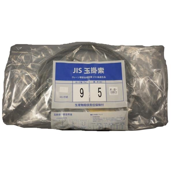 在庫限り アイネット  JIS  玉掛ロック止  ワイヤーロープ  Φ9X5M  ロックタイプ  太さ9mm×長さ5m  ステンレス胴 吊り下げ