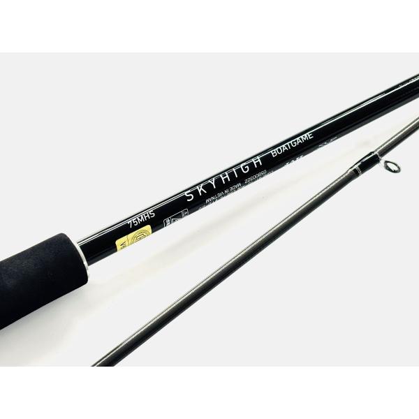 DAIWA（ダイワ） スカイハイボートゲーム 75MHS スピニング