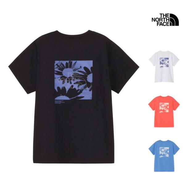 フォルティタワーズ コンプリートDVDボックス〈3枚組〉 Tシャツ付き
