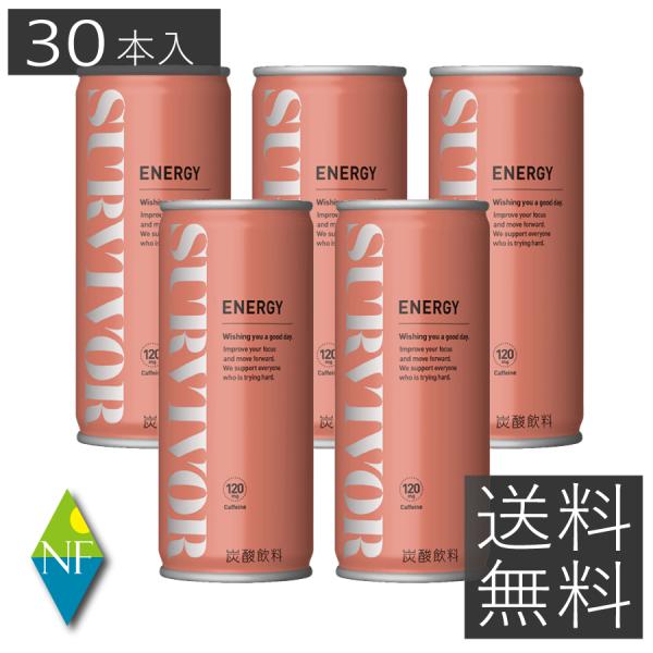 富永貿易 サバイバー エナジードリンク 250ml 30本 缶 炭酸飲料 エナジードリンク 価格比較 価格 Com