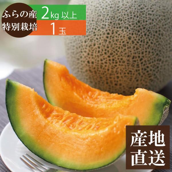 【予約商品】北海道 富良野 山部産 赤肉メロン 1玉（2kg以上） 特別栽培農産物 送料無料 富良野メロン フルーツ 果物 ◆出荷予定：8月1日〜8月20日