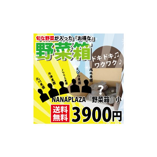 何か入っているかわからない北海道の旬な野菜が入ったお得な『野菜箱』をお届け！季節の贈り物リストに入っている野菜が全て入る訳ではなく、NANAPLAZAが厳選してお送り致します！
