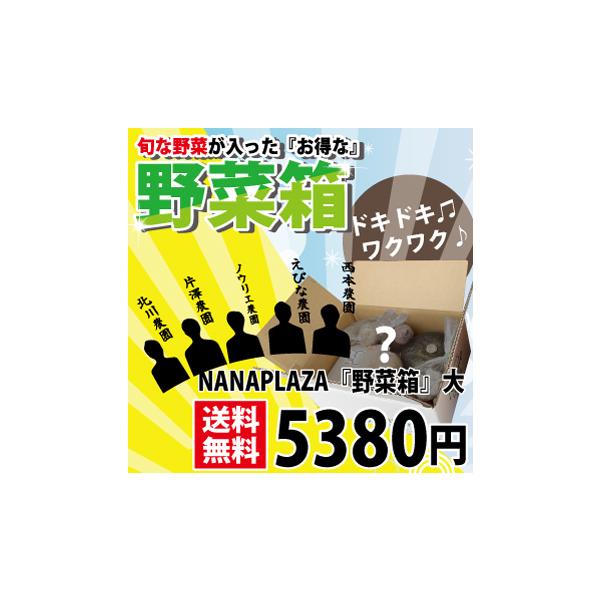 何か入っているかわからない北海道の旬な野菜が入ったお得な『野菜箱』をお届け！季節の贈り物リストに入っている野菜が全て入る訳ではなく、NANAPLAZAが厳選してお送り致します！