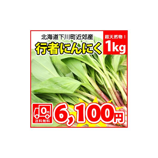 送料無料》スタッフ自ら下川町近郊の山奥で収穫した超天然行者にんにく