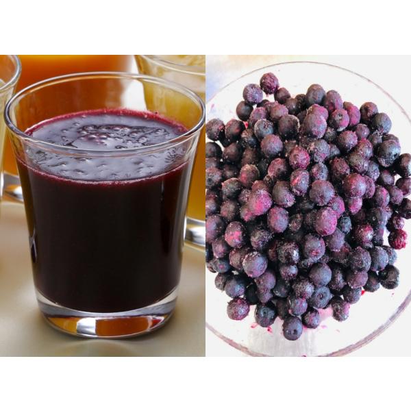 KIMONO FRUITS】冷凍ブルーベリージュース（スムージー）（オーガニック　ブルーベリーカナダ産使用）100ｇ（袋体）×7個/ｃｓ　有機ブルーベリー酵素そのまま　