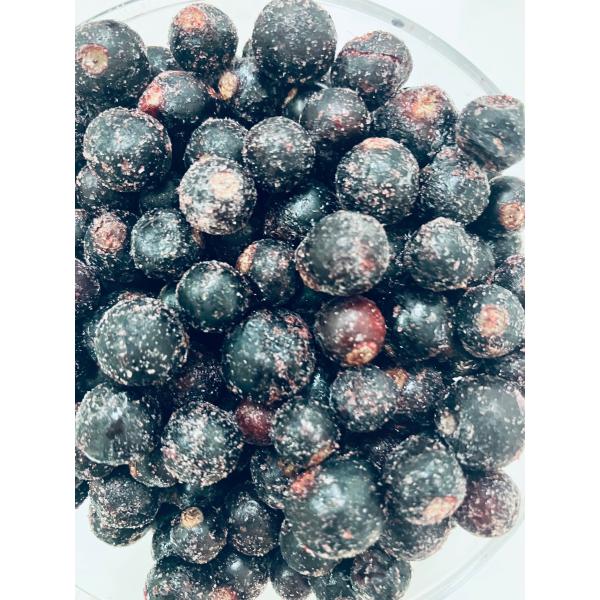 【KIMONO FRUITS】冷凍カシス　５ｋｇ（1000g×５）（セルビア産または、ポーランド産）冷凍ブラックカラント カシスを真空冷凍加工しました。