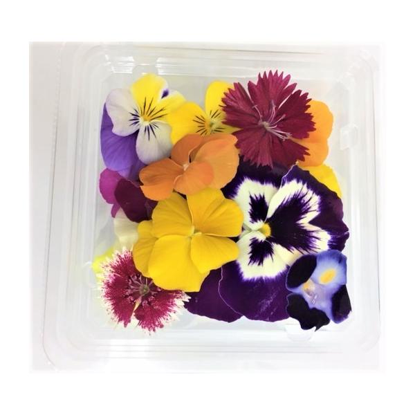 エディブルフラワー　MIX（水耕栽培、徳島産） クリーンな閉鎖型植物工場生産、害虫、土の心配なく、手軽に安心してお使い頂けます。 【消費税込み】