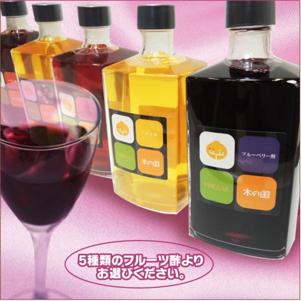 ＮＯＲＵＣＡ 飲むフルーツ酢　500ml（5本入）いちご酢２本、ブルーベリー酢1本、じゃばら酢1本、バナナ酢１本【消費税込み】