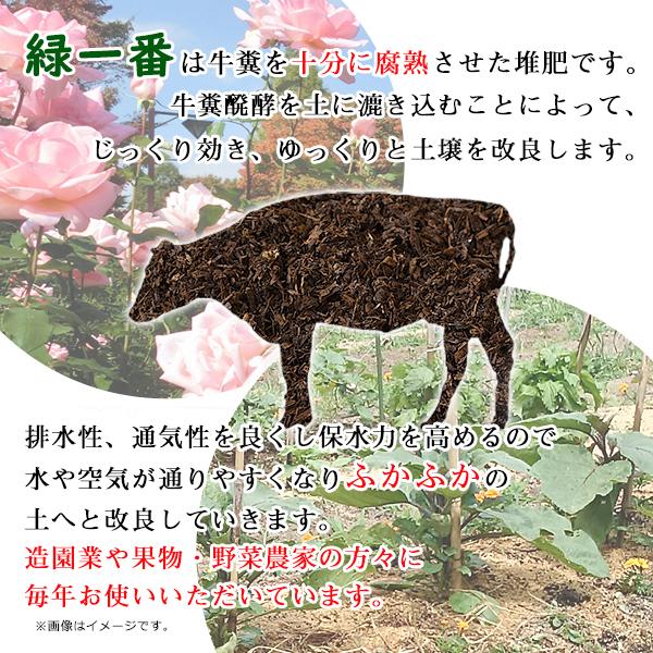 秋津緑一番】15kg 40L 牛ふん たい肥 匂わない 野菜 果物 植物 花 観葉