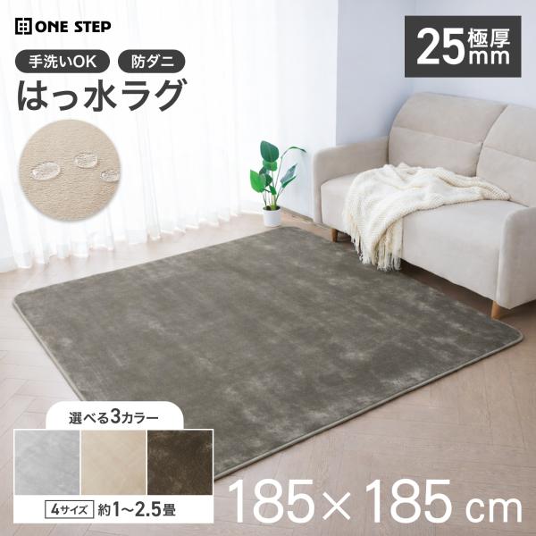 ONE STEP ラグマット ラグ 2畳 厚手 洗える 北欧 低反発 冬 夏 オール