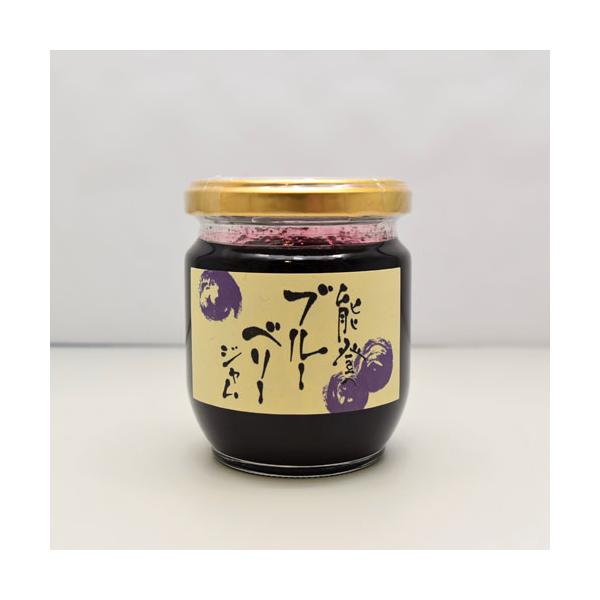 ブルーベリージャム ギフト 180g×2個 無農薬 国産 瓶 フルーツ 能登 石川 内祝い お返し お中元 お歳暮 送料無料