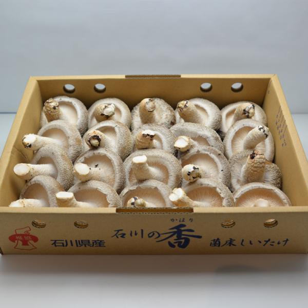 商品名【能登町産】しいたけ商品内容しいたけ1kg（箱）原産地名石川県 能登町製造元石川県鳳珠郡能登町字寺分ロ部15-8農事組合法人　のとっこ賞味期限商品到着後1ヶ月持つものをお届けいたします。保存方法冷蔵庫で保管してください。 食べきれない...