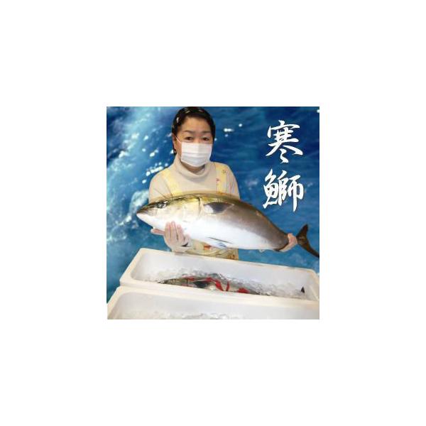 送料無料 能登半島 豊漁のお陰で最安値に挑戦中 天然寒ぶり半身 6 7kgの鰤の半身 旨いブリ ぶりしゃぶ 刺身 安心の業務用食品包装 鮮度そのまま Buyee Servis Zakupok Tretim Licom Buyee Pokupajte Iz Yaponii
