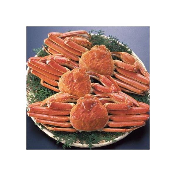 送料無料 能登半島加能蟹 ズワイガニ ずわいがに 4番1 2kg前後1杯 金沢港輪島港石川県の漁港 産地直送 ランキング入賞店です Buyee Buyee 提供一站式最全面最專業現地yahoo Japan拍賣代bid代拍代購服務