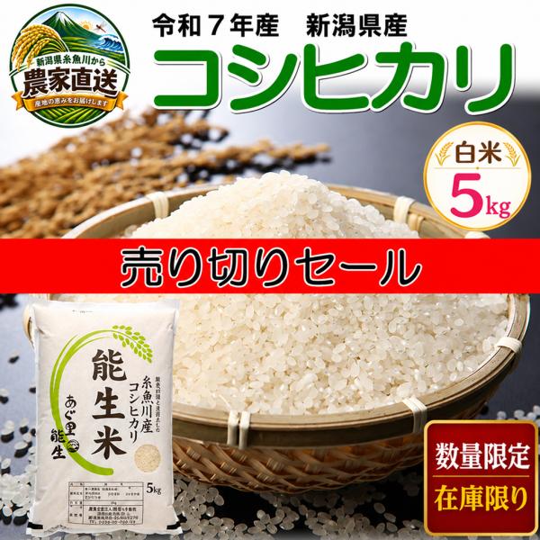 米 令和7年産 新潟県産 コシヒカリ 5kg ５キロ 白米 精米 こめ 新潟 にいがた 農家直送 糸魚川 いといがわ 能生米 送料無料
