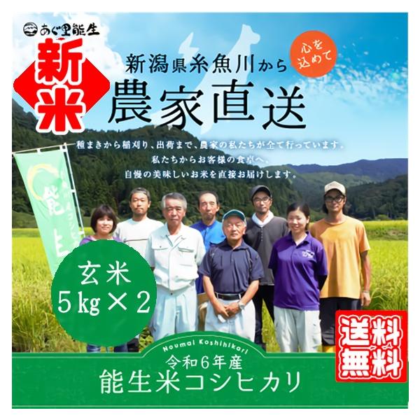 米 30kg 玄米 白米 ３０キロ コシヒカリ 精米無料  小分け対応 令和5年産 新潟 農家直送 糸魚川 能生米 送料無料