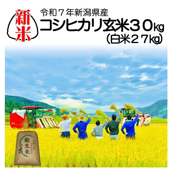 コシヒカリ 新米 30kg 玄米 令和7年産 白米 27kg 30キロ 精米無料