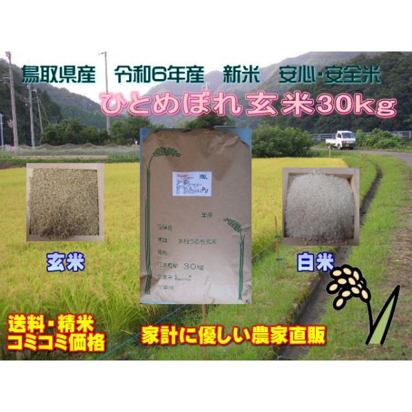令和6年度鳥取県産　ひとめぼれ玄米30キロ 楽天市場】【令和6年産】玄米 ひとめぼれ 30kg 宮城県産