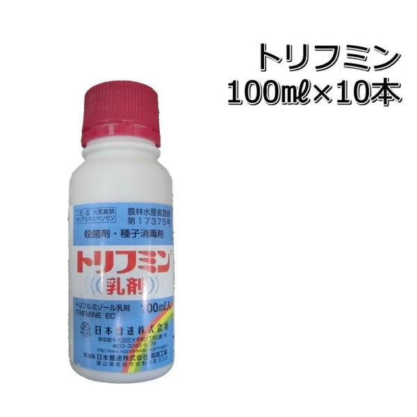 qō gt~  100ml×10{