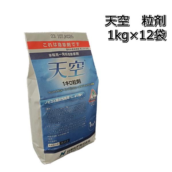  V  1kg×12܁i1P[Xj p ꔭ