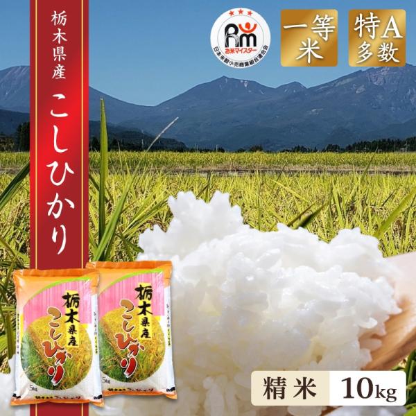 【令和7年産】栃木県日光市産 コシヒカリ 10kg（白米）産地直送 注文後精米！ 米、雑穀、粉類 【令和7年産】栃木県日光市産 コシヒカリ 10kg（白米）