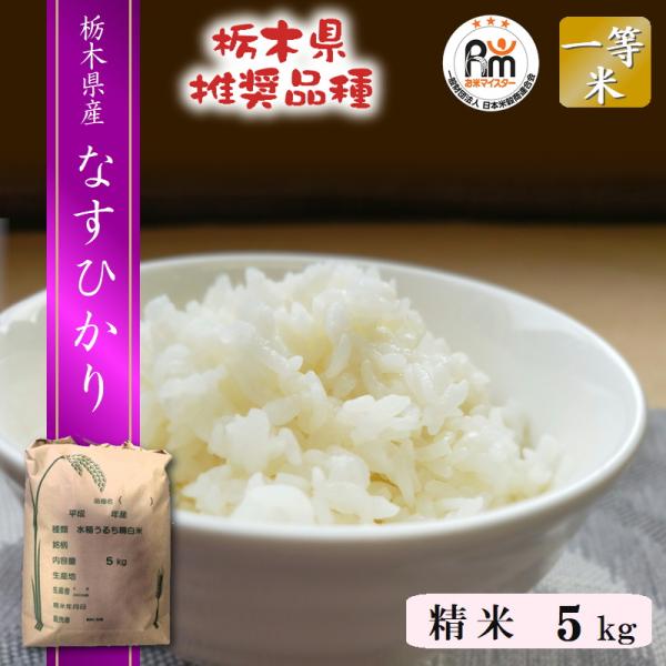 なすひかり 米 5kg 送料無料 令和7年産 栃木県 日光産 白米 一等米