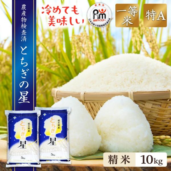 コシヒカリ 新米 10kg (5kg×2袋) 送料無料 とちぎの星 令和6年産