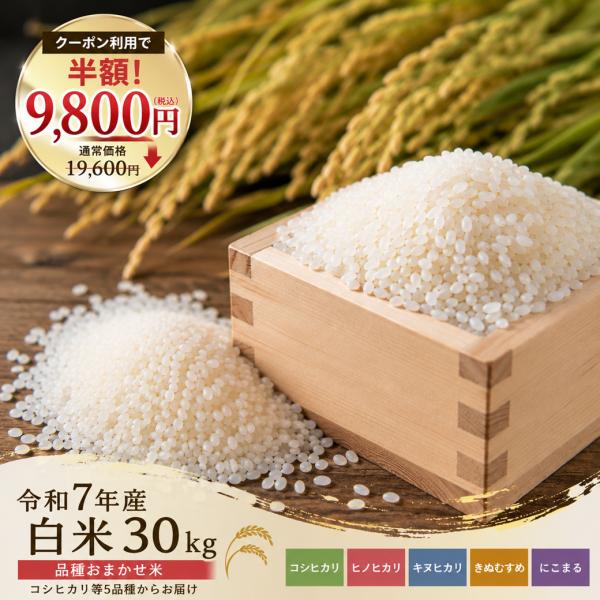 クーポン利用で半額！9,800円 令和7年産 白米 30kg 10kgx3袋 品種おまかせ米 兵兵庫県稲美町周辺 コシヒカリ等5品種から ※10/5以降の発送