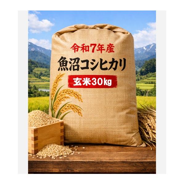 日本最高峰のお米と言われる魚沼産コシヒカリ同一生産者・同一原料の純度100％の魚沼産コシヒカリを数量限定の特別価格でお届けいたします。この機会にぜひお試しください！！【産　年】令和7年 【産　地】新潟県中魚沼郡津南町【品　種】コシヒカリBL...