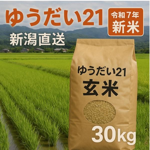 その姿は、雄大にして壮麗。宇都宮大学の広大な農場で偶然生まれ品評会を席巻した、奇跡のお米。その粒の大きさと美しさ、粘りと弾力、噛むほどに広がる 甘みの深さが段違い。ゆうだい21は宇都宮大学が開発した、国立大学生まれのお米です。2010年の品...