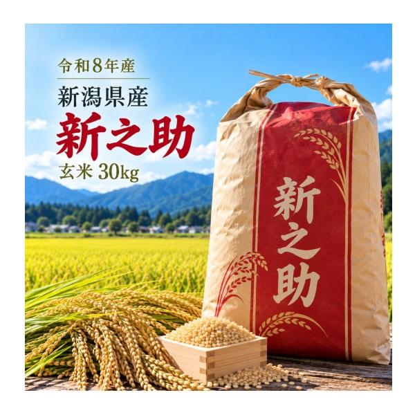 令和８年産　新潟県産　新之助　玄米30ｋｇ　令和8年産/１等/米/玄米/新米