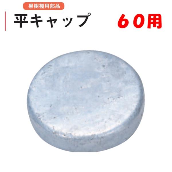 農業用の果樹棚用部品。外径60.5ｍｍパイプに使用。◆ワンポイント◆パイプ内への水の侵入を防止する金具です。溶融亜鉛ドブメッキ仕上げをしています。メーカー：渡辺パイプ株式会社