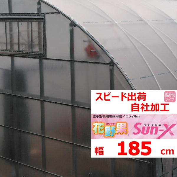 「花野果Ｓun-X（サンクロス）」は散乱光タイプの農業用フィルムです。フィルムの厚さは５年耐久相当の0.15ｍｍのため長期展張が可能です。※耐久年数はあくまで目安となります　使用状況・環境により変動いたします散乱光フィルムとは一般的な透明フ...