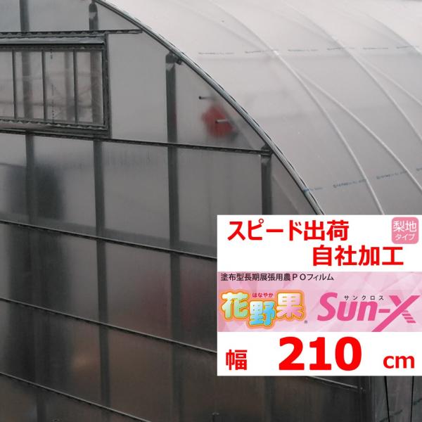 「花野果Ｓun-X（サンクロス）」は散乱光タイプの農業用フィルムです。フィルムの厚さは５年耐久相当の0.15ｍｍのため長期展張が可能です。※耐久年数はあくまで目安となります　使用状況・環境により変動いたします散乱光フィルムとは一般的な透明フ...