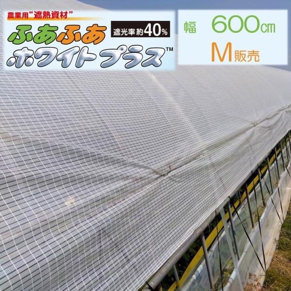 寒冷紗　ビニールハウス　畑　ふあふあ　6m × 35m 遮光率40% シルバー ふあふあ シルバー 幅630cm 遮光率30%/40%/50%/60% メーター単位切売